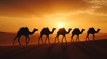 ɳĮ�����ߵ����ն�����Ӱ.mp4