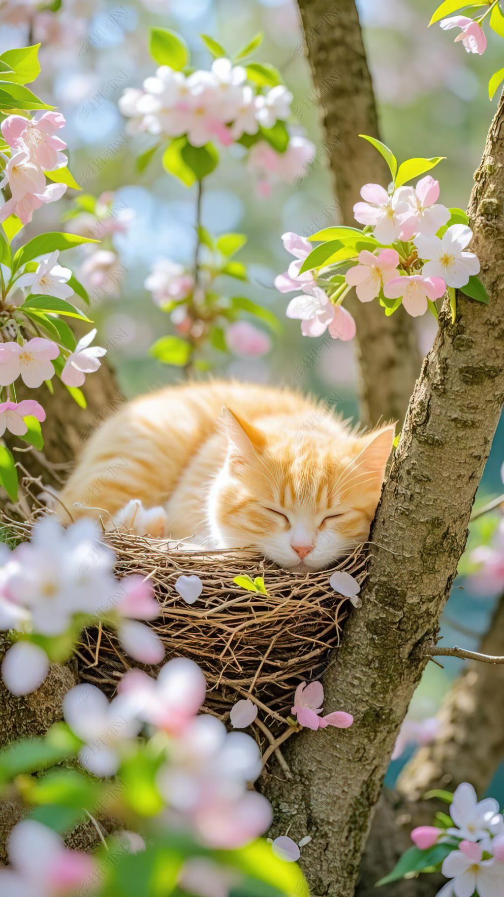 原创一只小猫在树枝上的鸟窝里惬意睡觉手机壁纸1