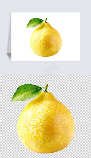 柚子小图标免抠元素