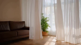 �峿����͸���������������