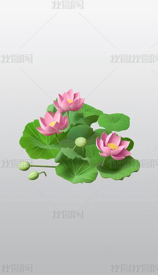 ķɫɏc~͸⓸͸pngDƬز