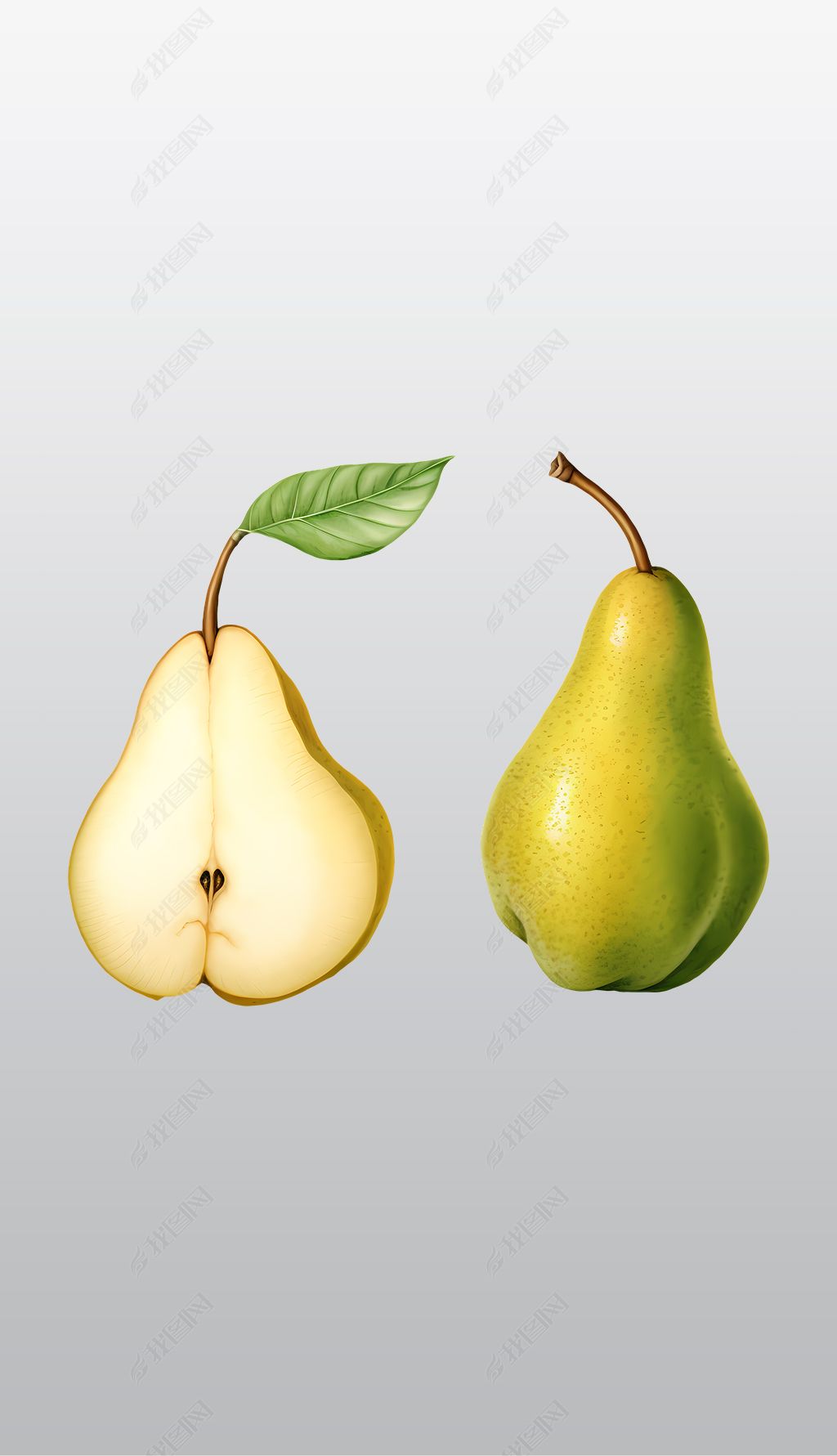 原创真实的黄色梨水果插画高清透明免抠png图片素材版权可商用