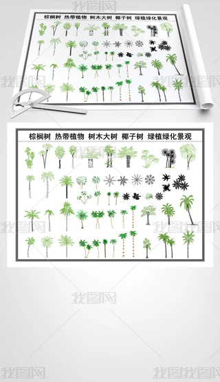 CAD������ȴ�ֲ����ľ����Ҭ������ֲ�̻�