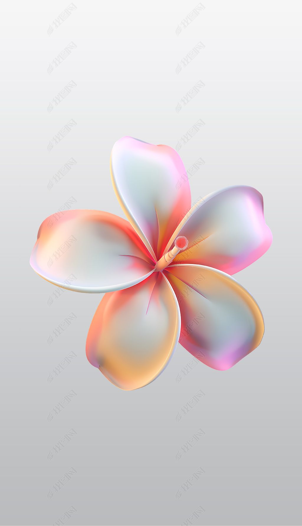 原创彩虹色的鸡蛋花高清透明免抠png图片素材