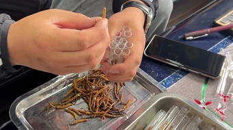 �����Ĳ�ʵ����Ƶ