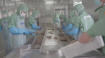 ���μӹ���ˮ����ҵʵ����Ƶ