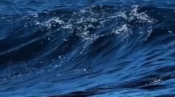 �󺣺���ʵ����д