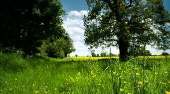 ���ݵ�mp4ʵ����Ƶ