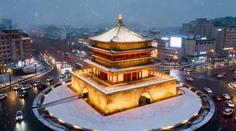 ������¥�����ز�