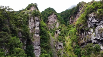 ʵ����Ƶ��˹�ص�ò��Ȼ����