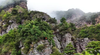 �����й����������������ɽ��˹�ص�ò���4K��Ƶ