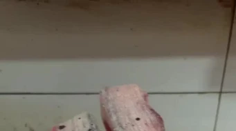 ̿��mp4ʵ����Ƶ