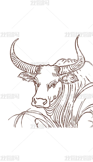 素描牛图片大全-素描牛背景图片-我图网