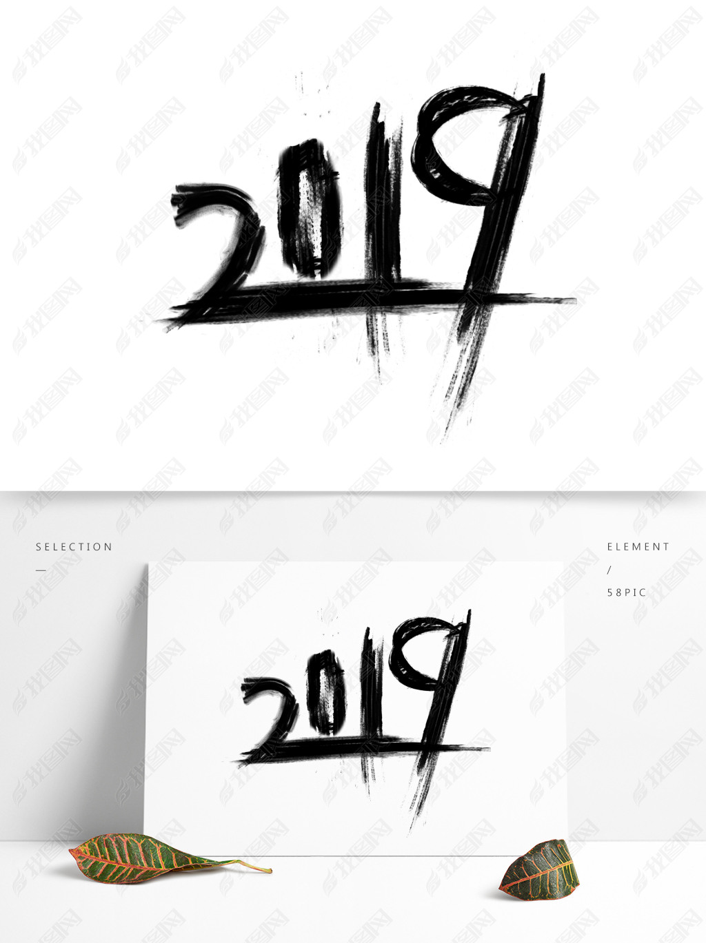 2019ŷīֿ