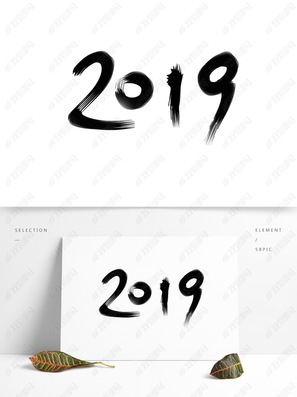 2019ˮīɫ