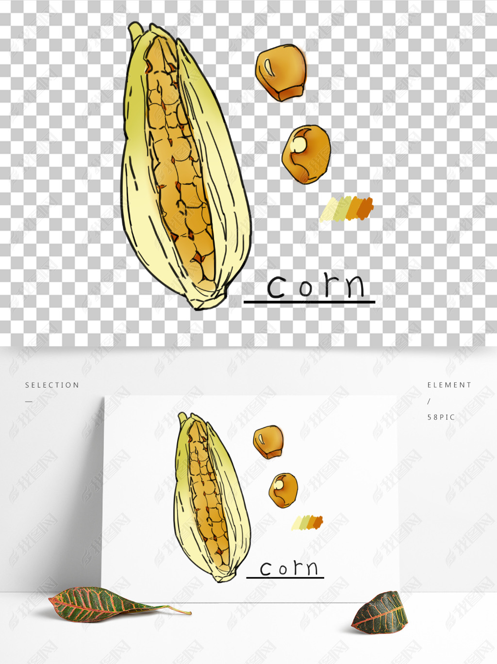 ֻ濨ͨװֲcorn