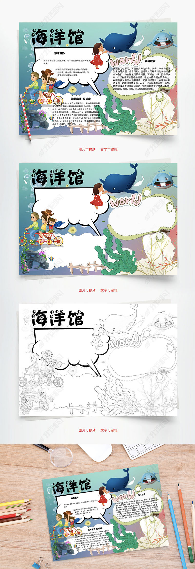 原创海洋馆喂食word小报手抄报模板版权可商用