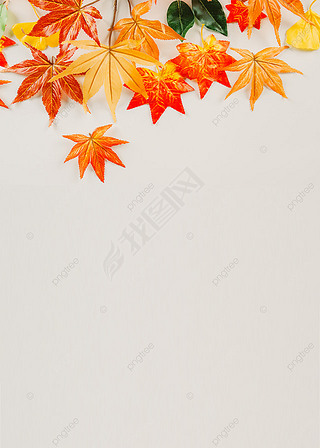 简单秋季树叶背景