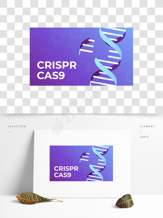 CRISPR-Cas9༭߿ѧҽѧ