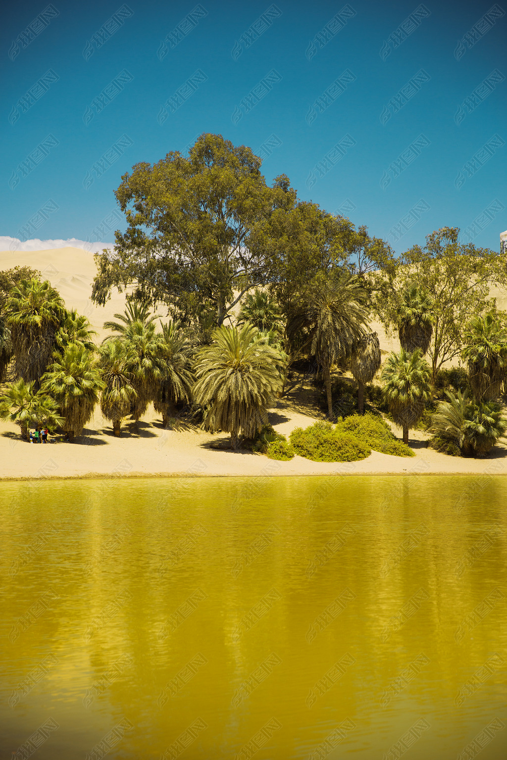 ³ɳĮHuacachina