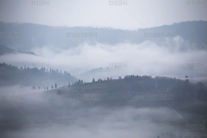 秋雨过后的落叶下载-编号26854621-自然风景-我图网