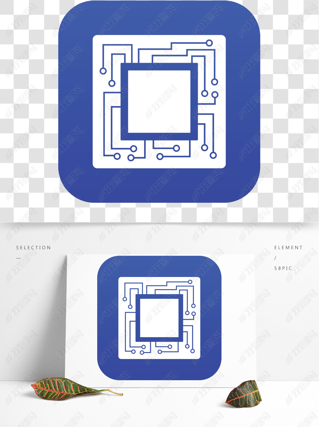 Microchipֵ·ɫȾʾ