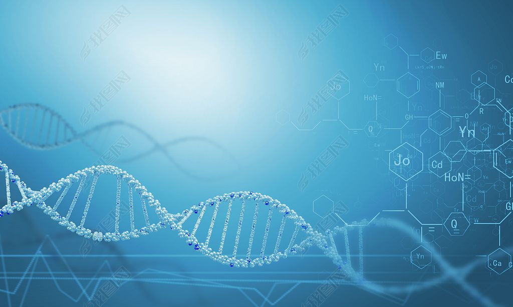 dna分子的生化背景及概念