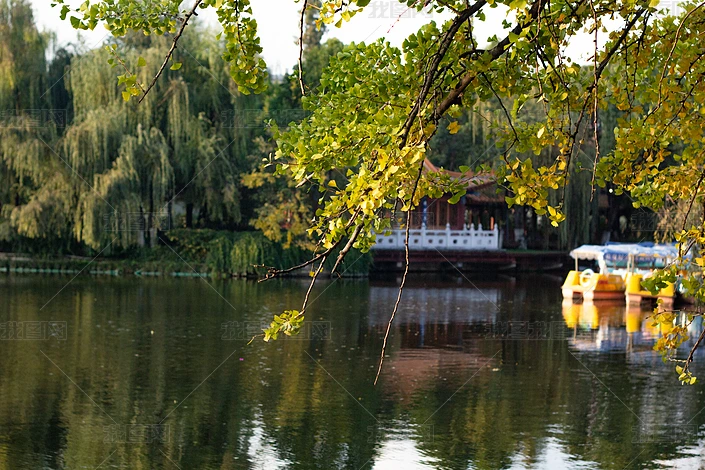 �������������԰����