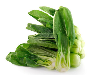 Bok choy (ײ)ɫ