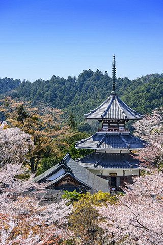 yoshinoyama, Japonsko v kinpusenji pagoda