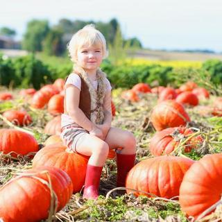 Funny little kid at the pumpkin field