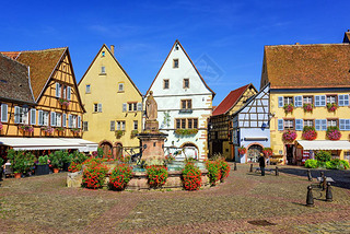 ɫͷ׵İľṹӣڷİ˹Eguisheim