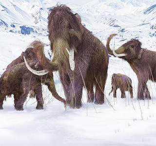 Wooly Mammoth Ice Age Scene
