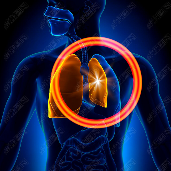 气胸-详细的肺萎陷