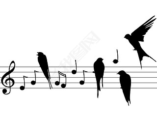 music notes and birds