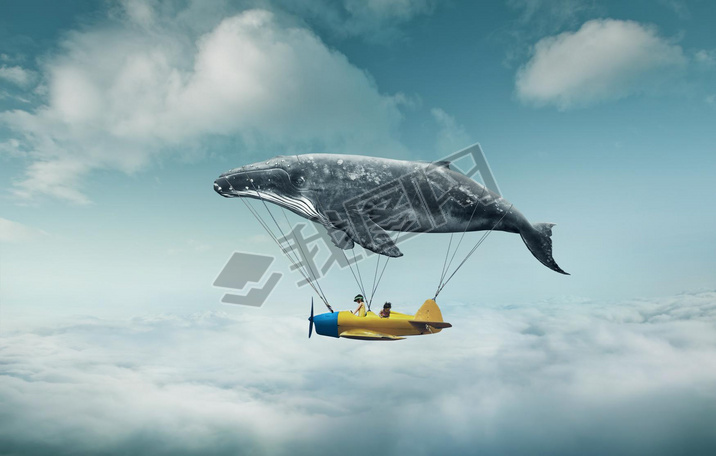 whale with aircraft and two girls over clouds