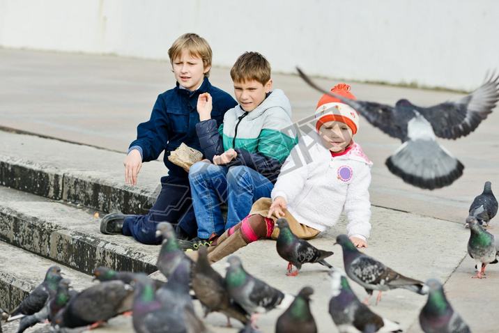 ?children feeding doves