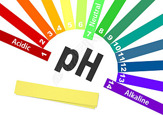 ph ͼ