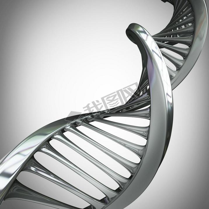  dna 