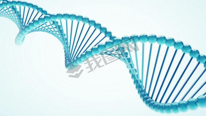 DNA Close-up