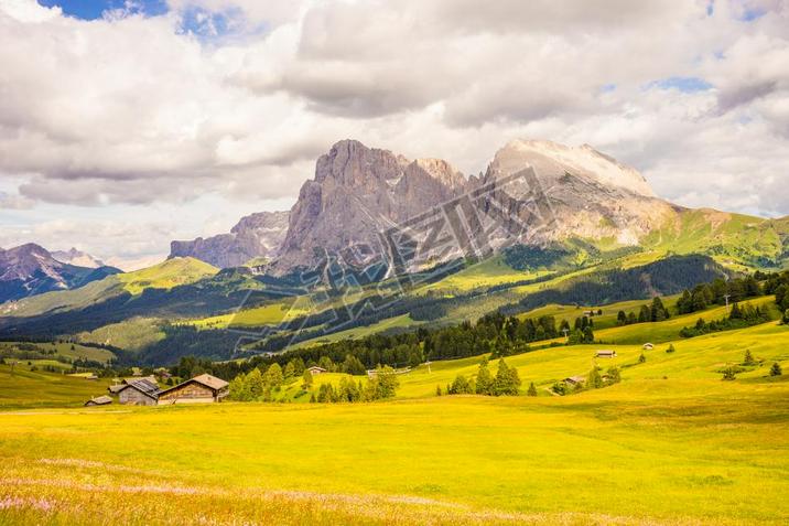 Alpe di Siusi, Seiser Alm with Sassolungo Langkofel Dolomite,һƬΪɽҰ