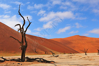 ù¶Ǽܣdeadvlei ױ