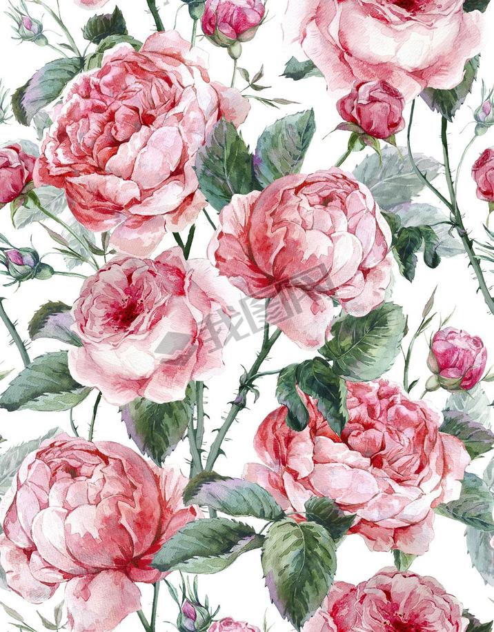 Classical vintage floral seamless pattern, watercolor bouquet of English roses