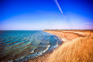 Empty beach in the sea bay spikelets