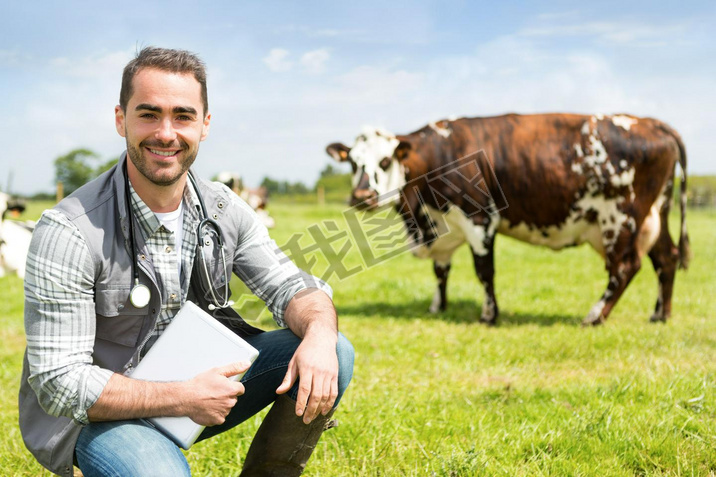 Portrait of a Young attractive veterinary in a pasture with cows