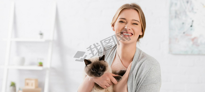 Positive woman holding siamese cat at home, banner 