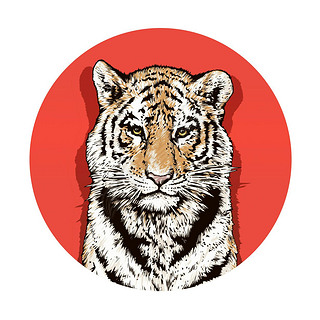 Graphic color drawing of a Bengal tiger. Wildlife. Big cat. Beautiful animal