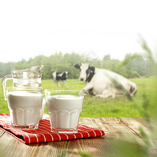Morning time with rural landscape of cow and milk on table place.