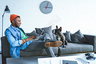 Frenchie dog by owner african american man working on laptop