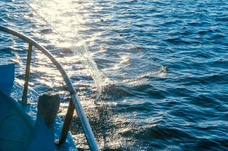 fisher boat in a sea